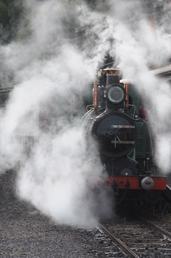 The Wilderness Railway Steaming Up